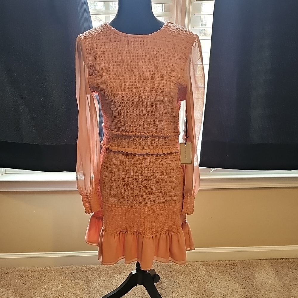 1.State Spring In Bloom Blush Pink Ruffle Dress (Size L) - Picture 3 of 9